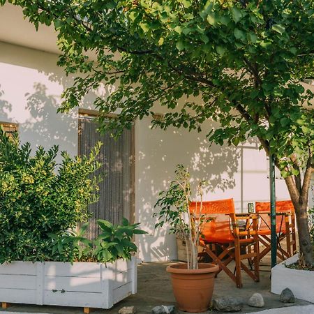 The Apricot Tree Studio Samothraki Bagian luar foto