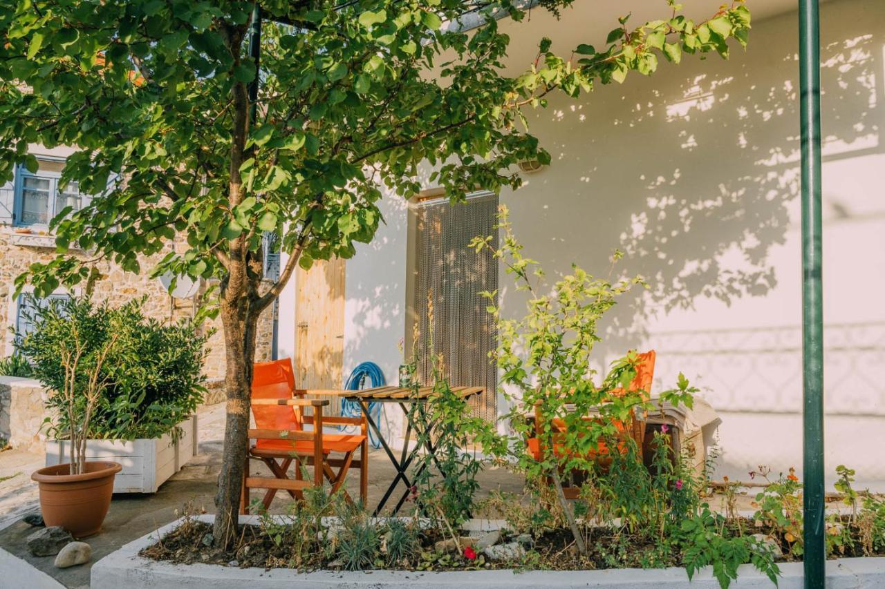 The Apricot Tree Studio Samothraki Bagian luar foto