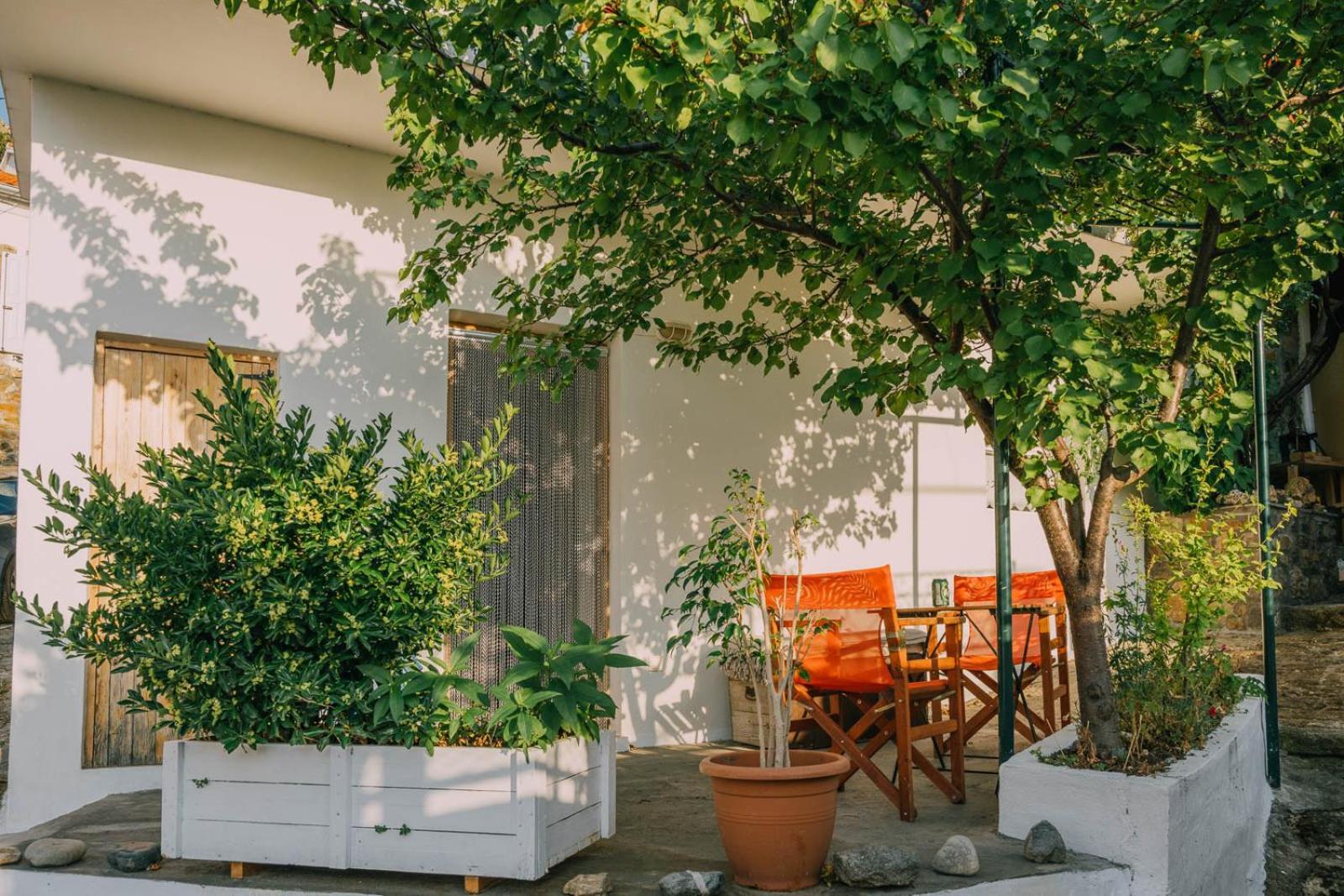 The Apricot Tree Studio Samothraki Bagian luar foto